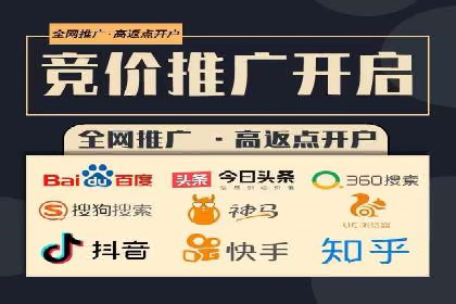 SEM竞价实战：成功案例解析